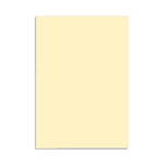 Color Paper (100 PCs) - Asters Maldives