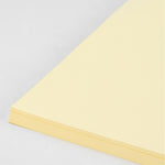 Color Paper (100 PCs) - Asters Maldives