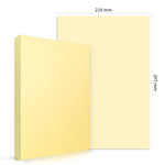Color Paper (100 PCs) - Asters Maldives