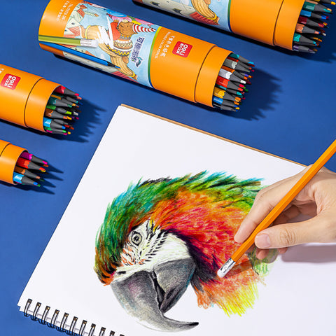 Color Pencil Set (12 PCs) - Asters Maldives