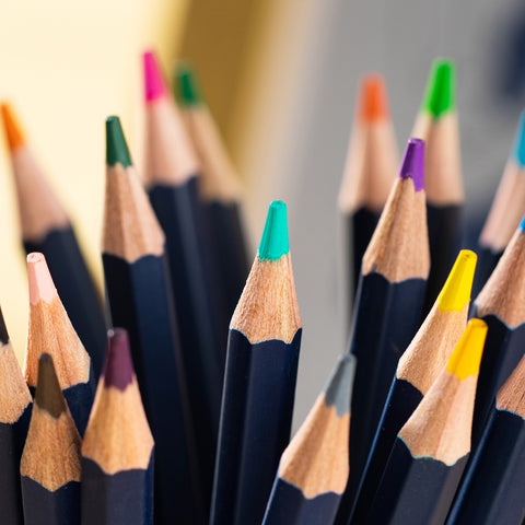 Color Pencil Set (48 PCs) - Asters Maldives