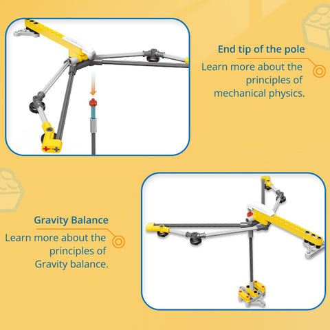 Educational Toy (77 Blocks) - Asters Maldives