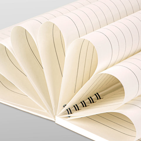 Notebook, 60 Sheets (B5) - Asters Maldives