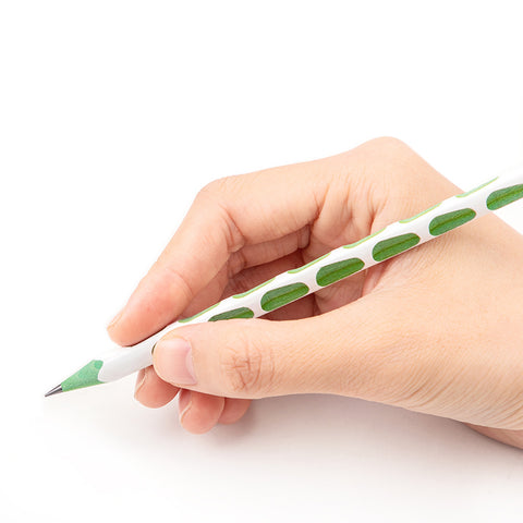 12-pcs Pencil (HB) - Asters Maldives