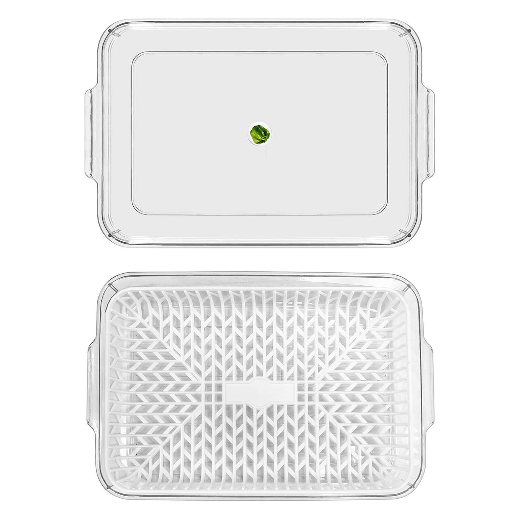 Food Container - Asters Maldives