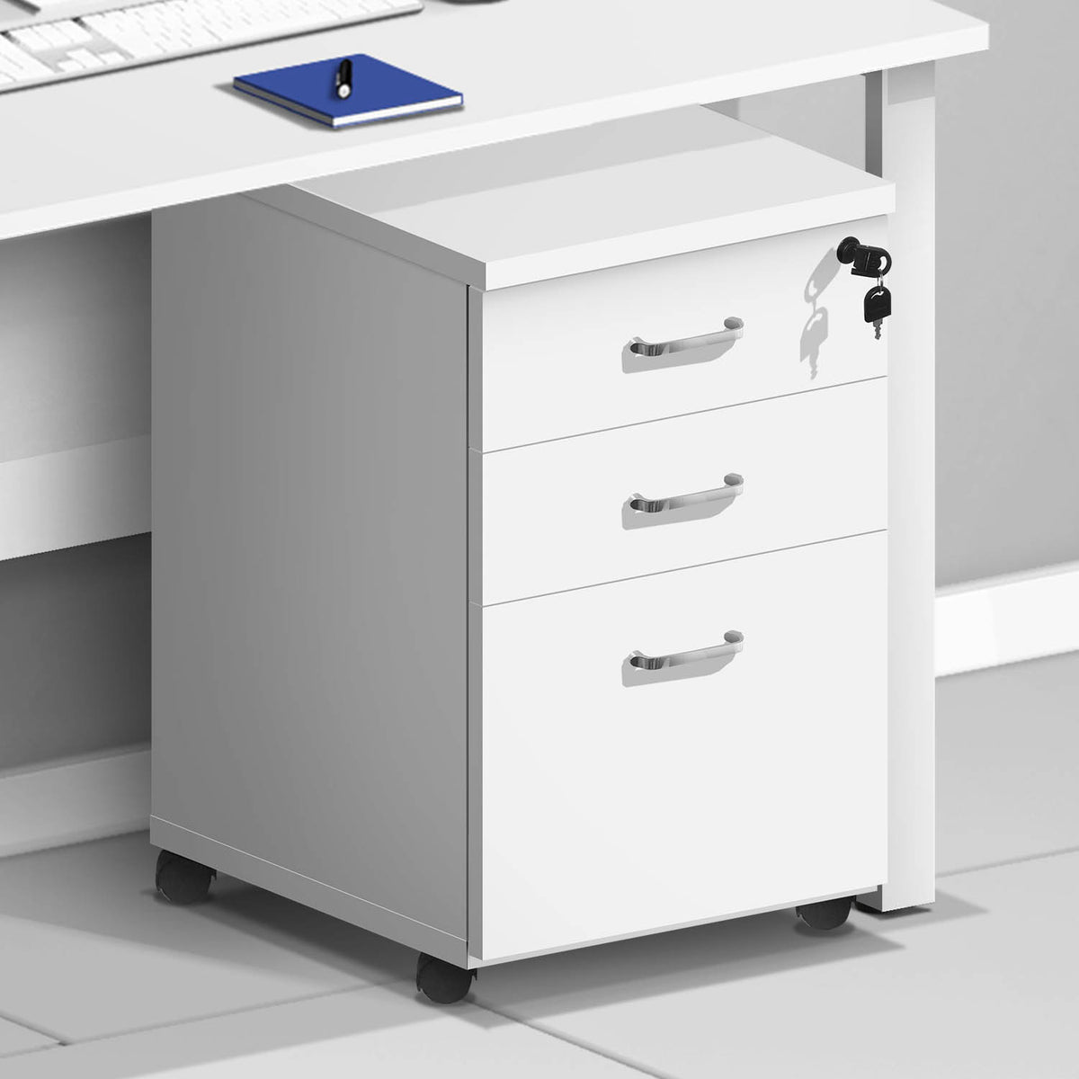 Pedestal Asters Maldives