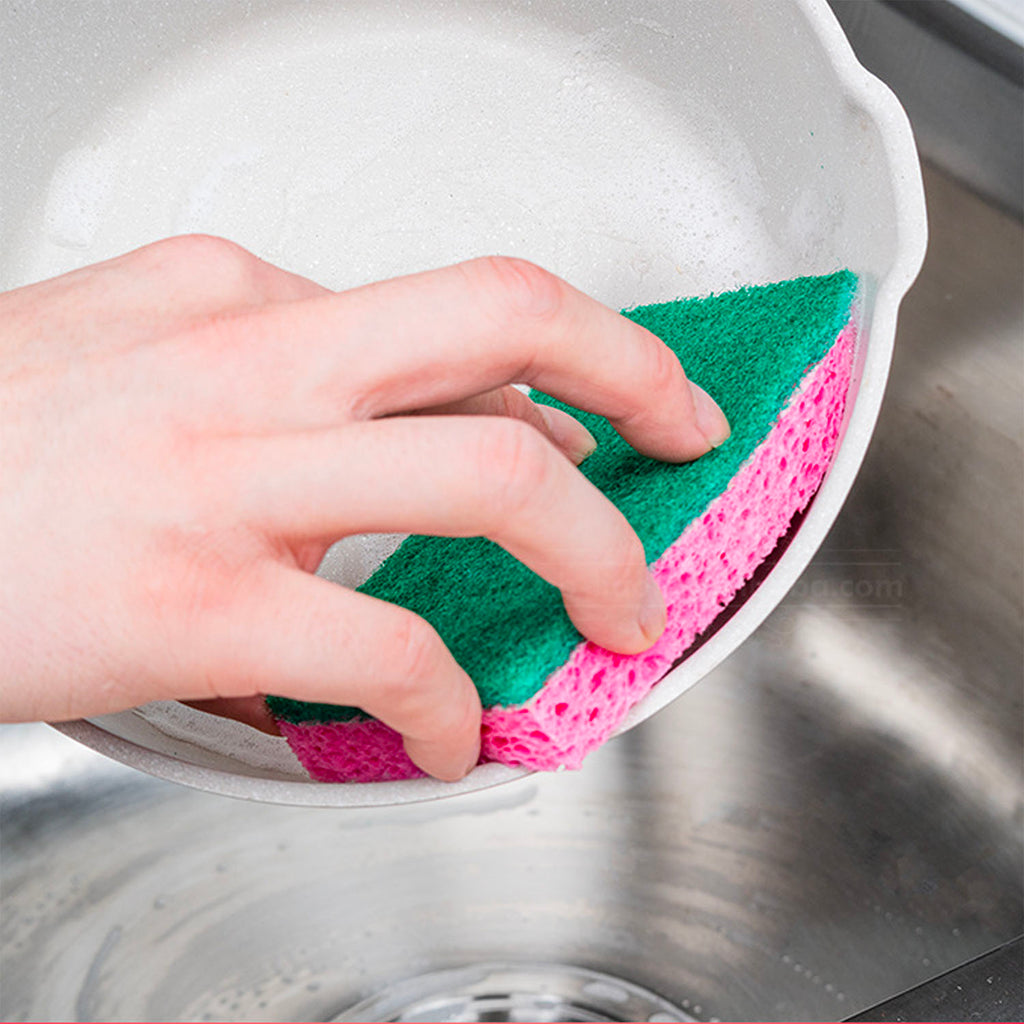 Scourer (6 PCs) - Asters Maldives
