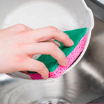 Scourer (6 PCs) - Asters Maldives