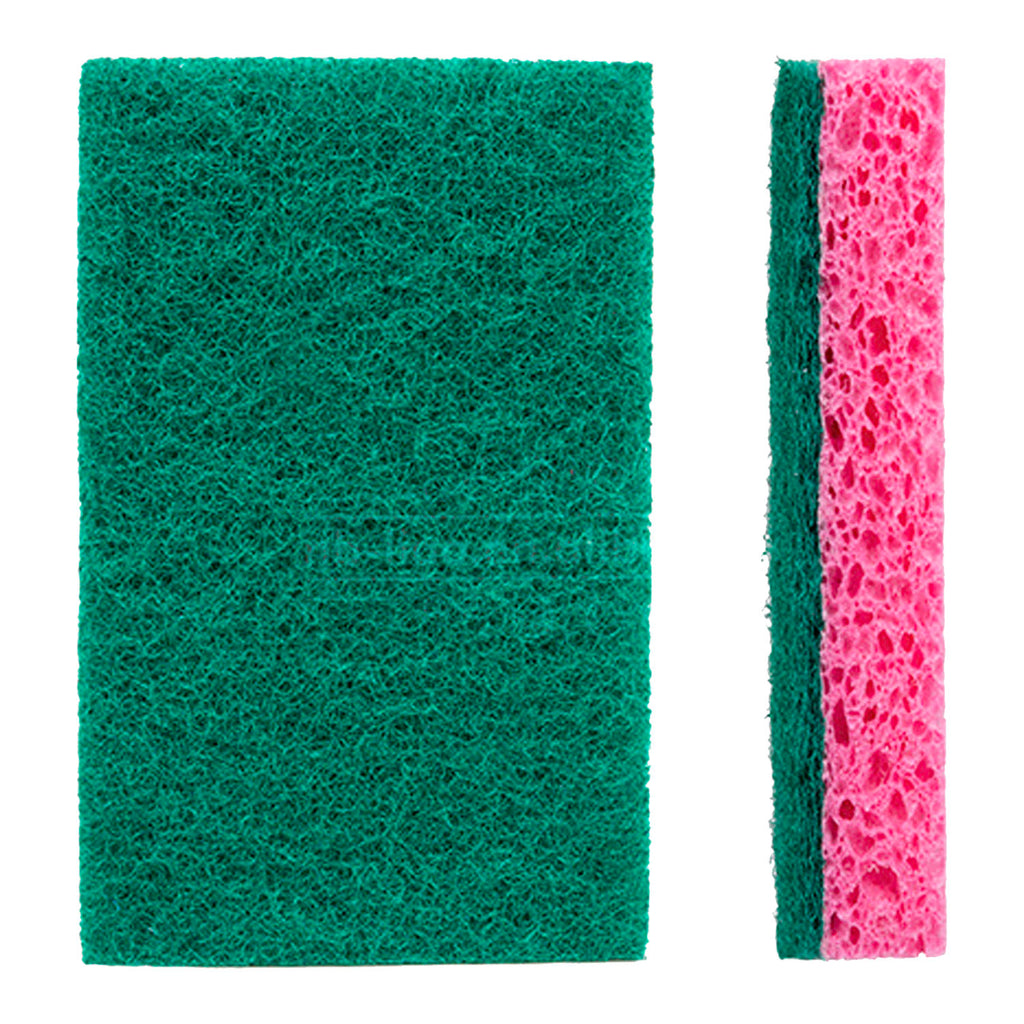 Scourer (6 PCs) - Asters Maldives