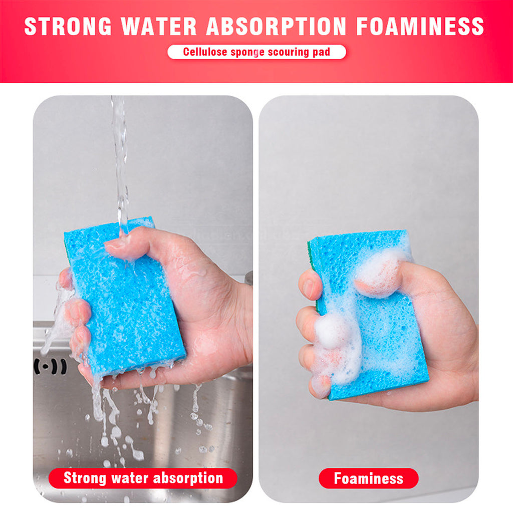 Scourer (6 PCs) - Asters Maldives