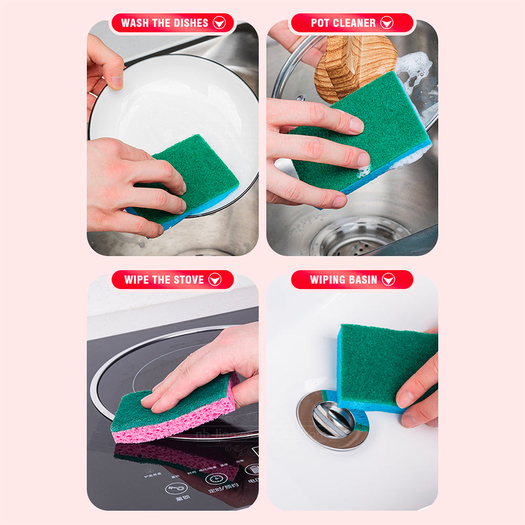 Scourer (6 PCs) - Asters Maldives
