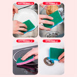 Scourer (6 PCs) - Asters Maldives