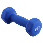 Dumbbell (1.5 kg) - Asters Maldives