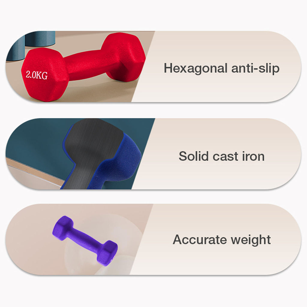 Dumbbell (1.5 kg) - Asters Maldives