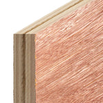 Plywood (4 x 8ft.) - Asters Maldives