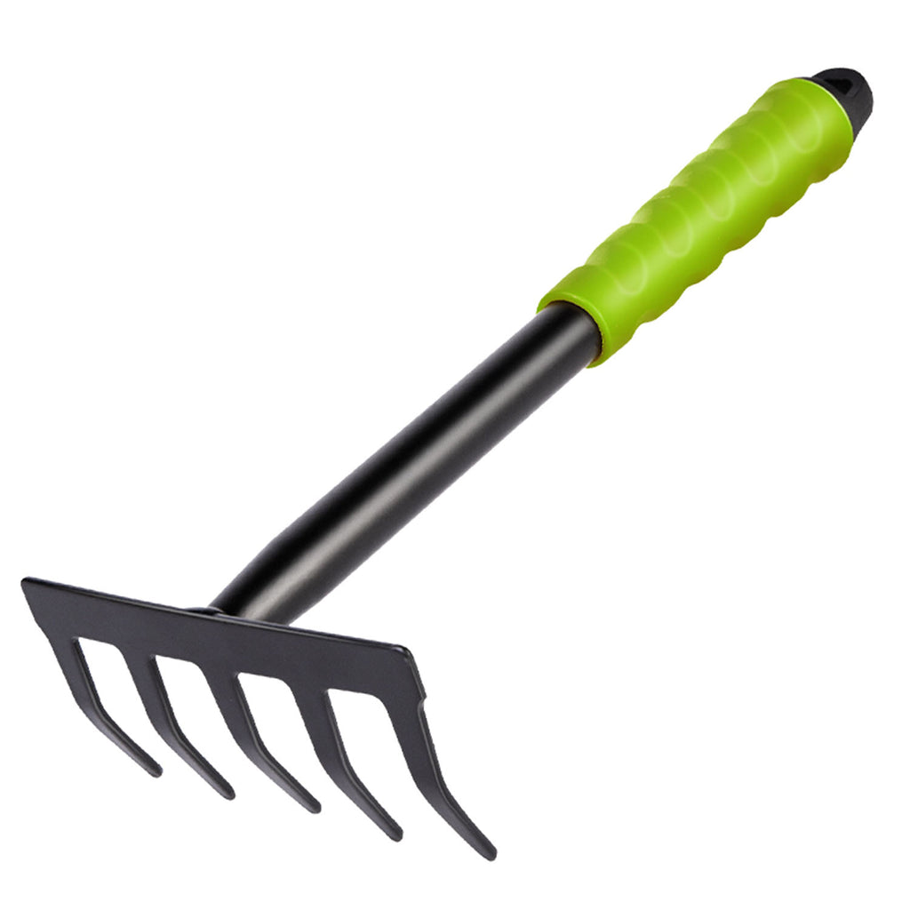 Garden Rake - Asters Maldives