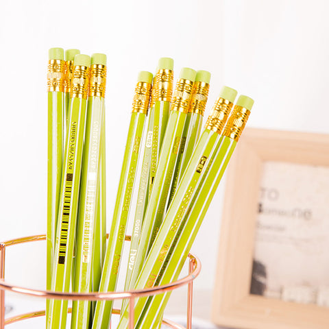 12-pcs Pencil (2B) - Asters Maldives