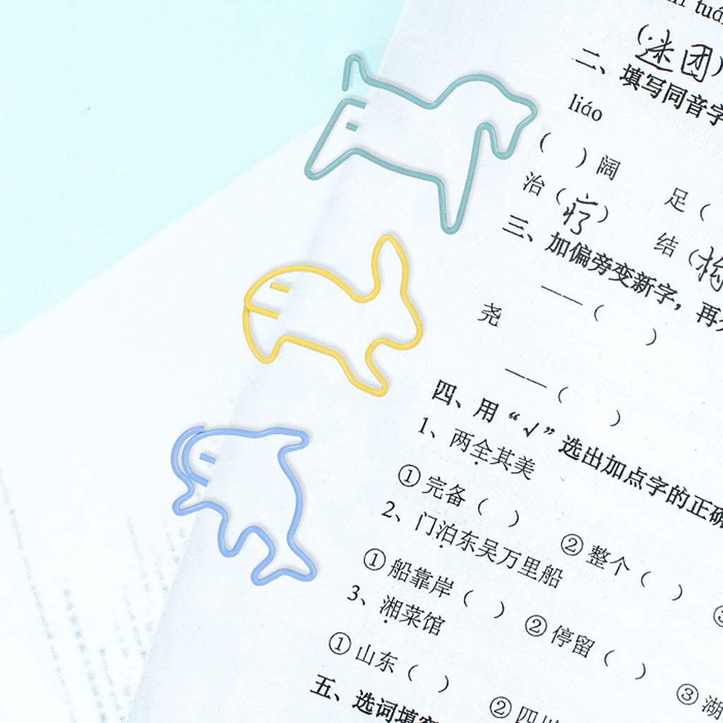 Paper Clip (12 Pcs) - Asters Maldives