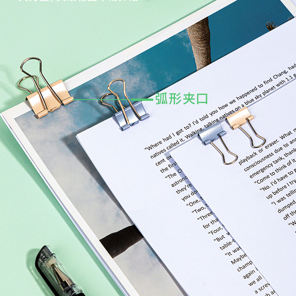 Double Clip (50PCs) - Asters Maldives