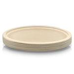 Paper Plate, 6 PCs (32 x 25cm) - Asters Maldives