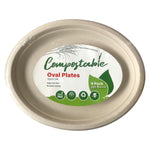 Paper Plate, 6 PCs (32 x 25cm) - Asters Maldives