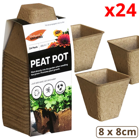 Plant Pot (24 PCs) - Asters Maldives