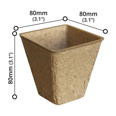 Plant Pot (24 PCs) - Asters Maldives
