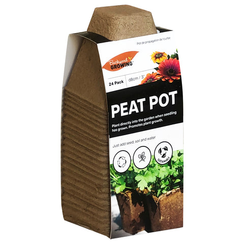 Plant Pot (24 PCs) - Asters Maldives