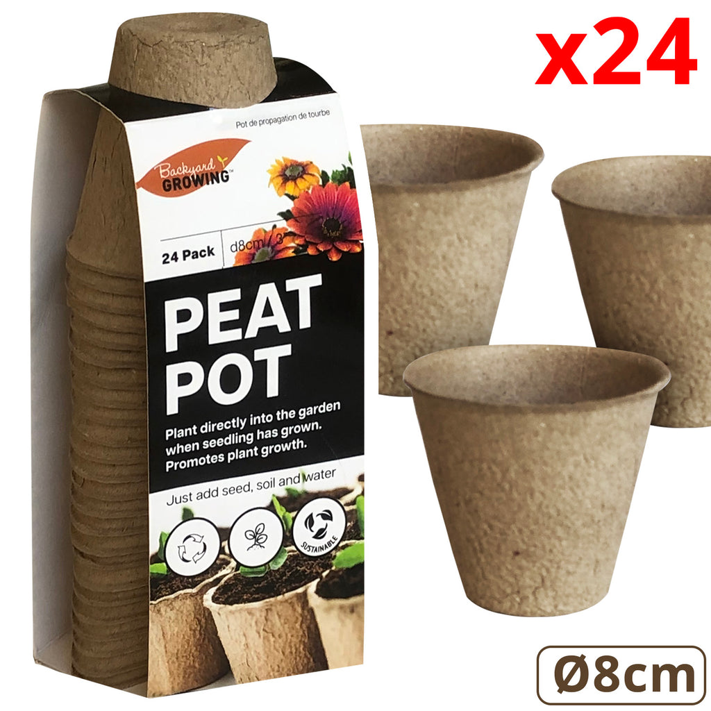 Plant Pot (24 PCs) - Asters Maldives