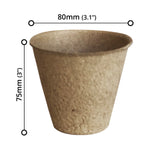Plant Pot (24 PCs) - Asters Maldives