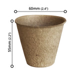 Plant Pot (24 PCs) - Asters Maldives