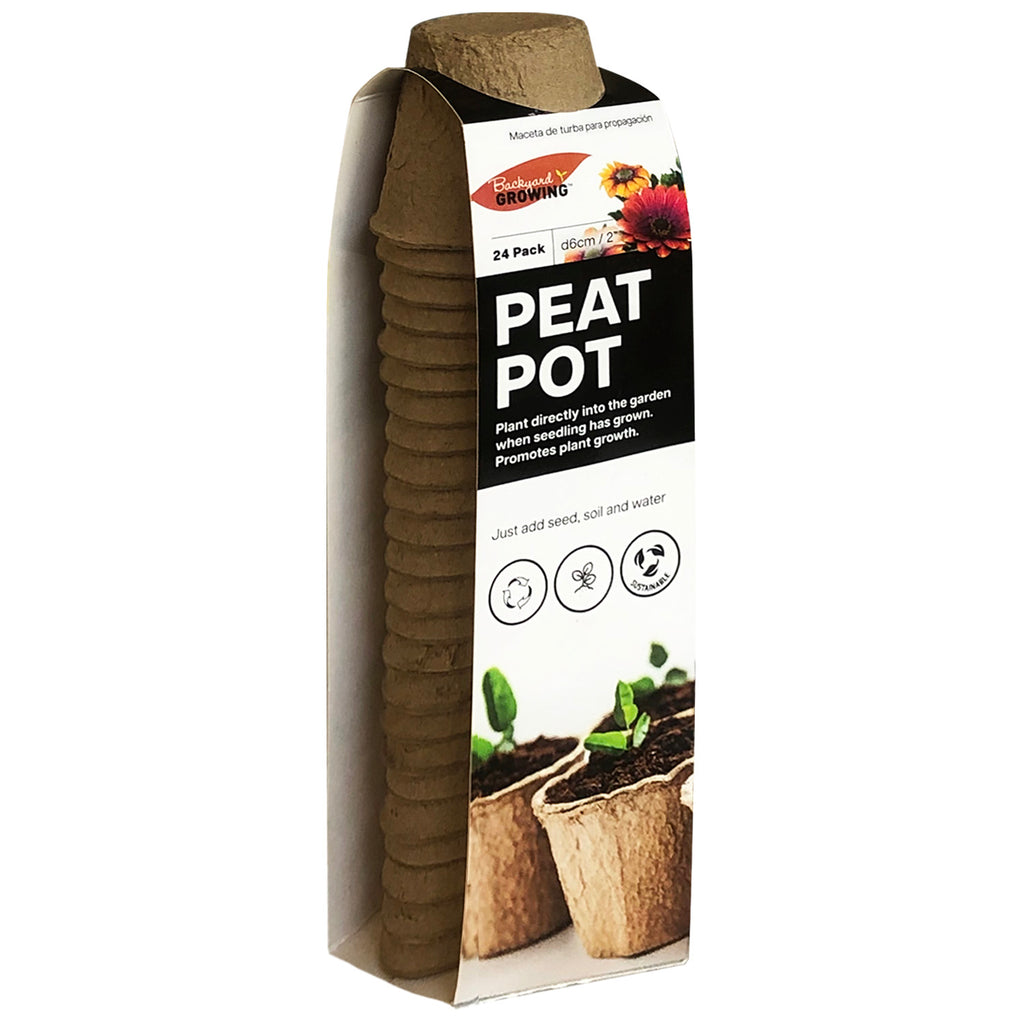 Plant Pot (24 PCs) - Asters Maldives