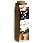 Plant Pot (24 PCs) - Asters Maldives