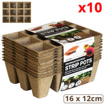 Plant Pot (10 PCs) - Asters Maldives