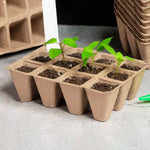 Plant Pot (10 PCs) - Asters Maldives