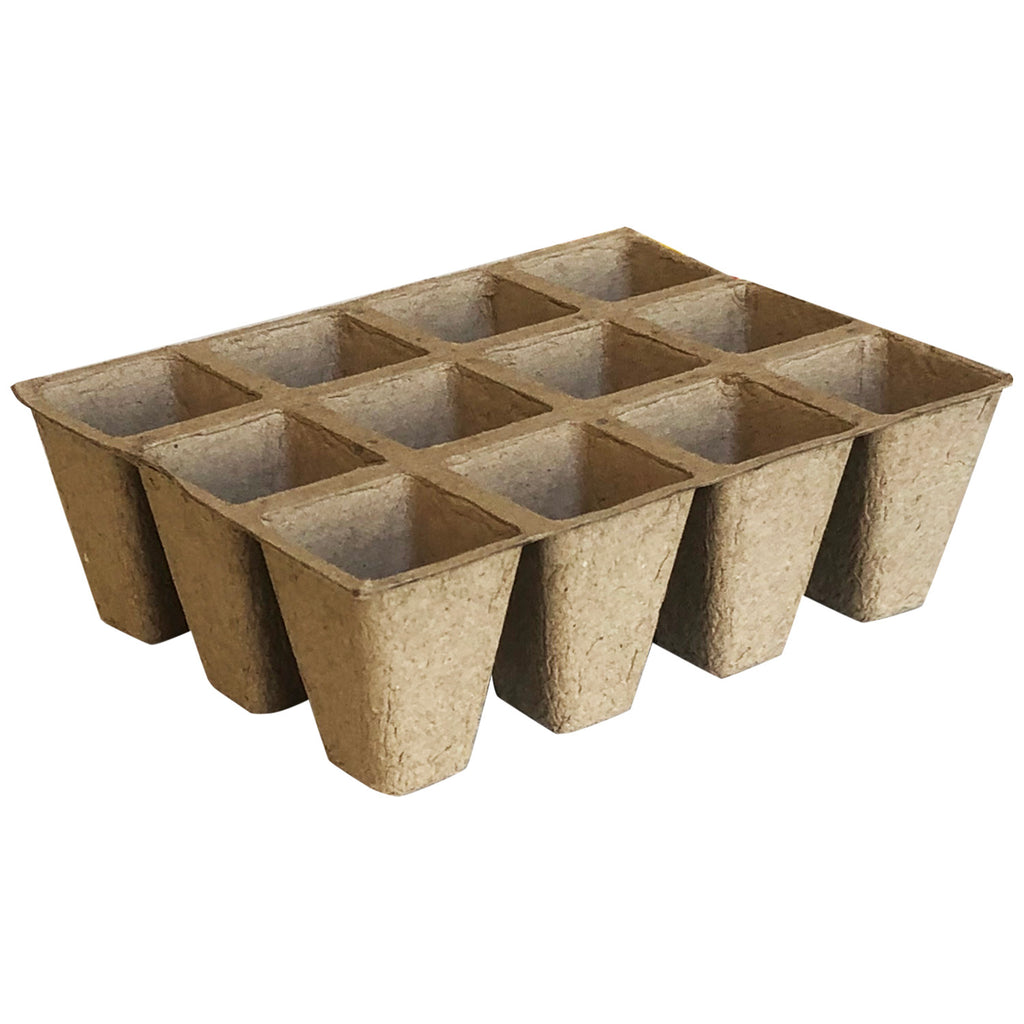 Plant Pot (10 PCs) - Asters Maldives
