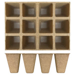 Plant Pot (10 PCs) - Asters Maldives