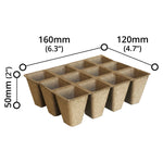 Plant Pot (10 PCs) - Asters Maldives