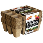 Plant Pot (10 PCs) - Asters Maldives