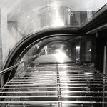 Cold Showcase - Asters Maldives