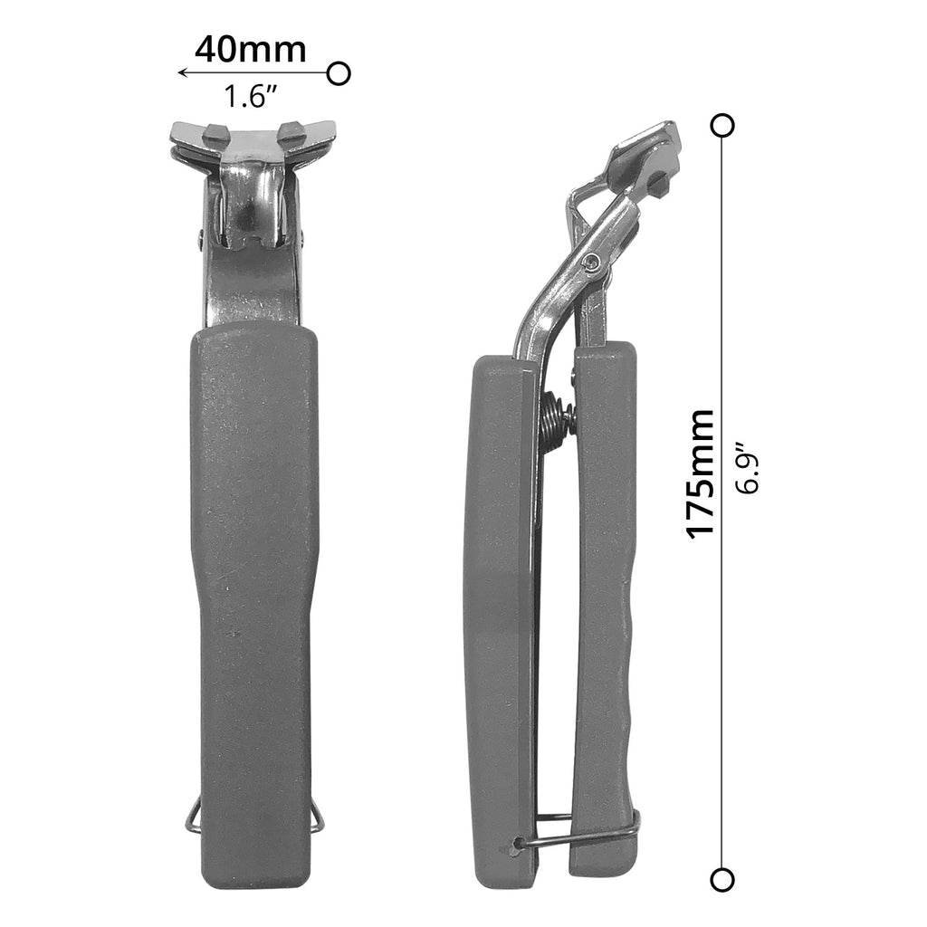 Tongs - Asters Maldives