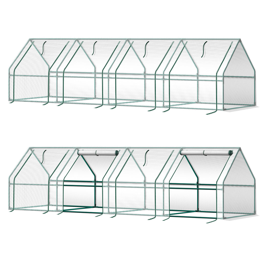 Greenhouse - Asters Maldives