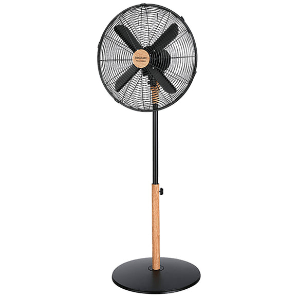 Stand Fan (Ø12