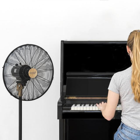 Stand Fan (Ø12") - Asters Maldives