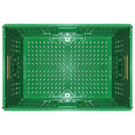 Foldable Storage Basket - Asters Maldives