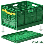 Foldable Storage Basket - Asters Maldives