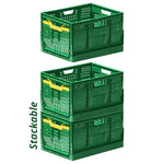 Foldable Storage Basket - Asters Maldives