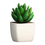 Artificial Plant - Asters Maldives