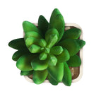 Artificial Plant - Asters Maldives