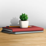 Artificial Plant - Asters Maldives